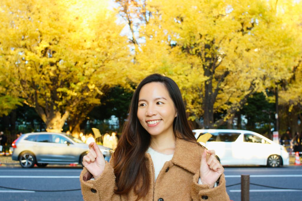 明治神宮外苑銀杏林大道 明治神宮外苑銀杏林大道