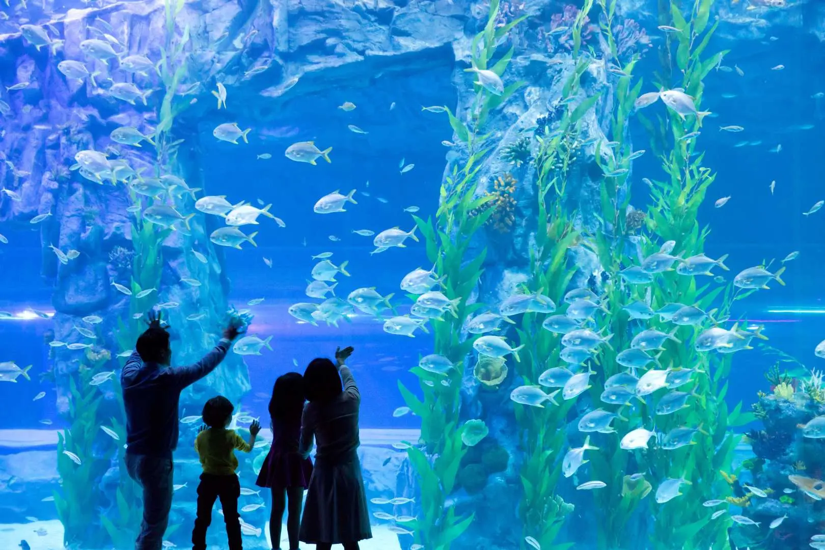首爾樂天世界水族館