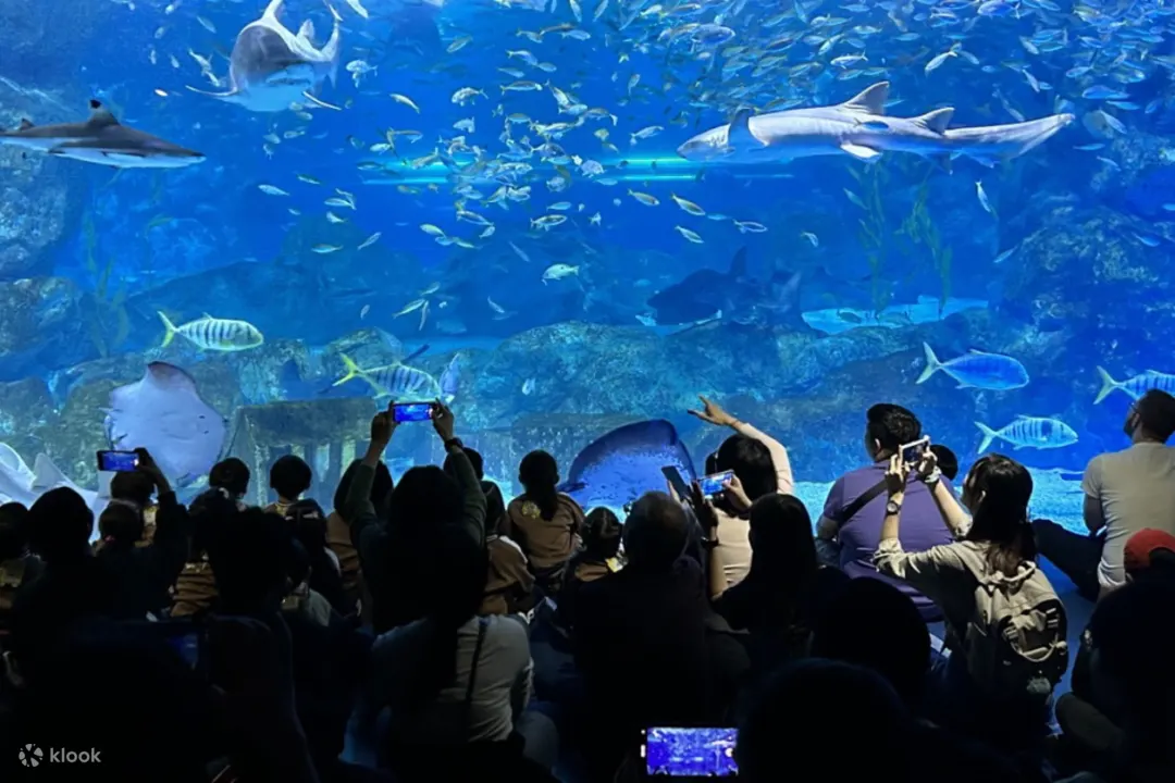 COEX 水族館
